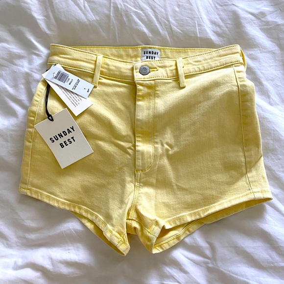 Aritzia Pants - Aritzia Sunday Best Shorts